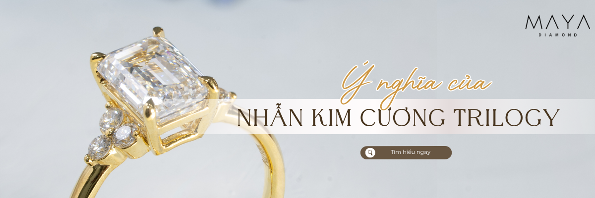 GIẢI MÃ KIỆT TÁC NHẪN KIM CƯƠNG TRILOGY Ý NGHĨA GÌ