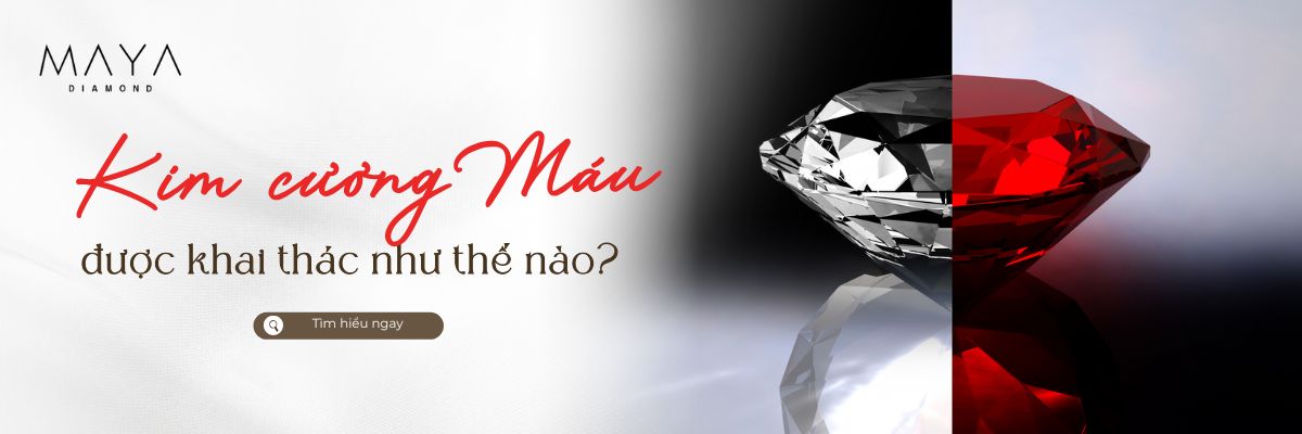 KIM CƯƠNG MÁU LÀ GÌ? SỰ THẬT PHÍA SAU VẺ ĐẸP ĐƯỢC TÔN VINH